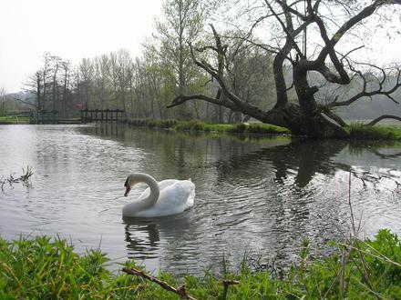 Bild på Godalming Bild på Godalming