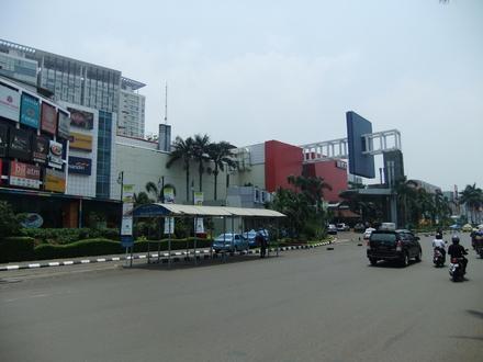 Afbeelding van Kelapagading