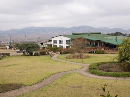 Image of Ngwenya Image of Ngwenya