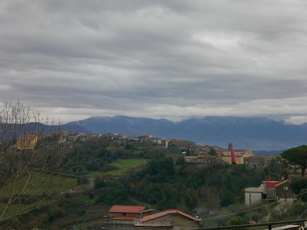 Immagine Rutino Immagine Rutino