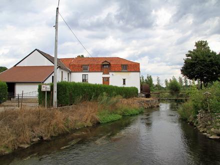 Immagine Bassenge Immagine Bassenge