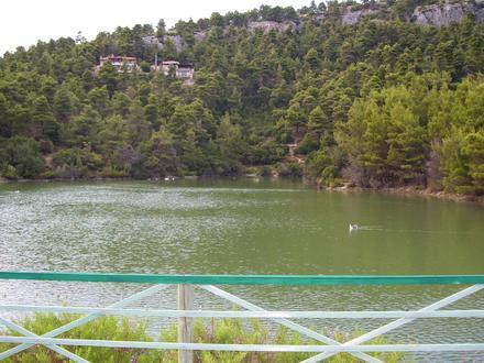 Afidnés Image