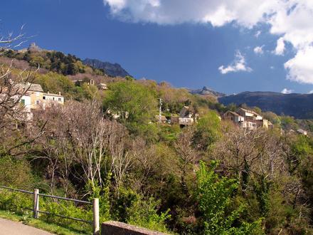 Bild von Olcani Bild von Olcani
