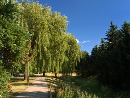 Image de Thornhill (Ontario) Image de Thornhill (Ontario)