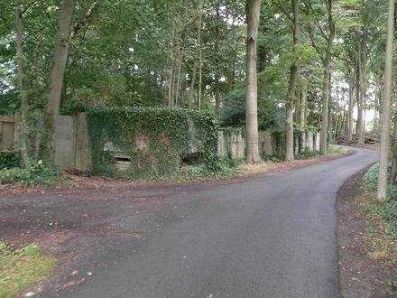 Bild von Zedelgem