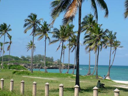 Immagine Oyster Bay (Tanzania) Immagine Oyster Bay (Tanzania)