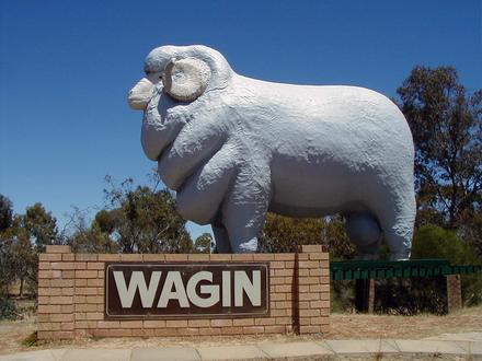 Immagine Wagin