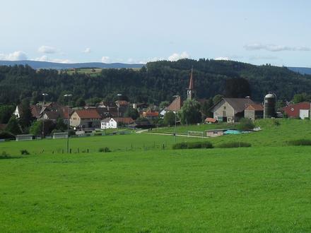 Bild von Donneloye Bild von Donneloye