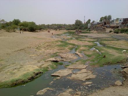 Immagine Nandura