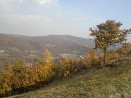 Slika Rošci Slika Rošci