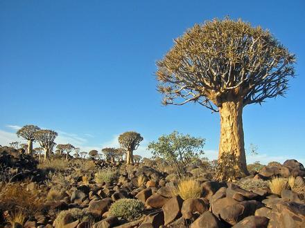 Keetmanshoop Resmi Keetmanshoop Resmi