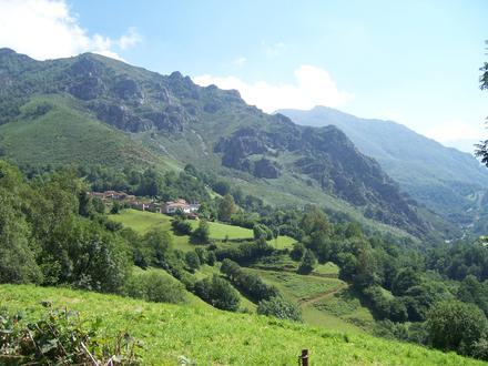 Imagen de Corés