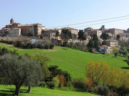 Image de Ostra