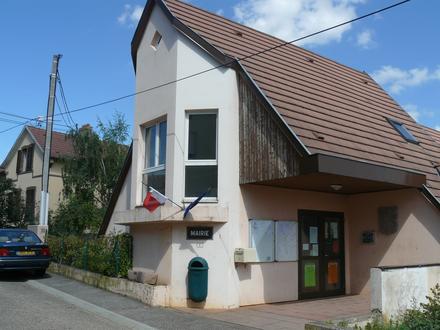 Obrázok Dieffenthal Obrázok Dieffenthal