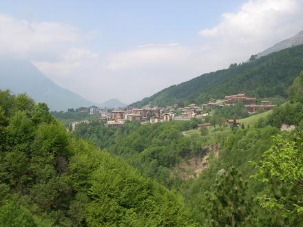 Image of Moggio Image of Moggio