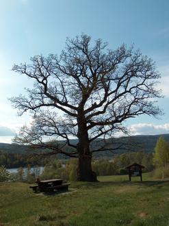 Afbeelding van Noresund