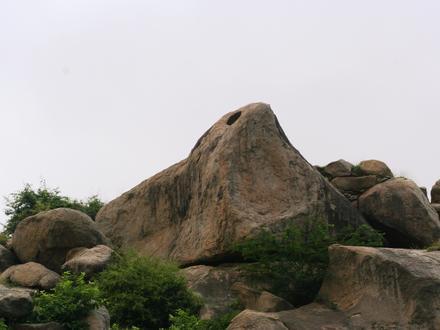 Immagine Viratnagar