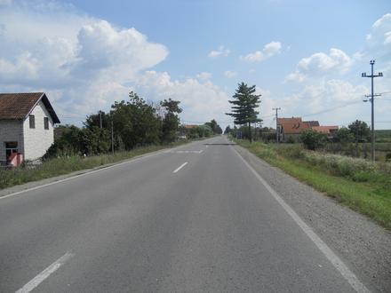 Slika Jelenča Slika Jelenča