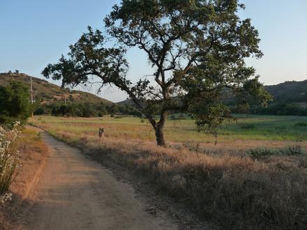 Image de Valley Center (Californie)