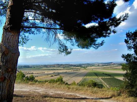 Bild von Montady Bild von Montady
