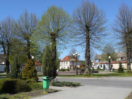 Bild von Torzym