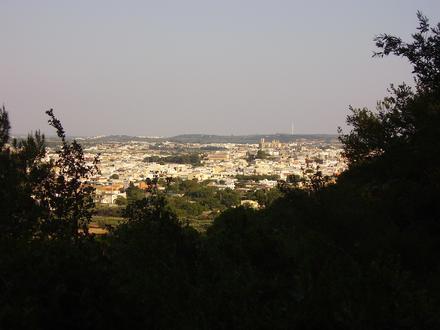 Immagine Ruffano Immagine Ruffano