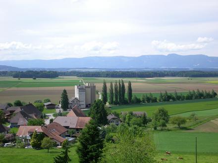 Bild von Ersigen