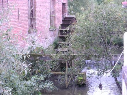 Bild von Mere (Flandern)