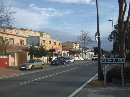 Imagen de Taraguilla Imagen de Taraguilla