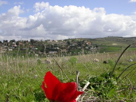Image of Kfar Uria Image of Kfar Uria