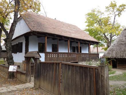 Immagine Drăguș