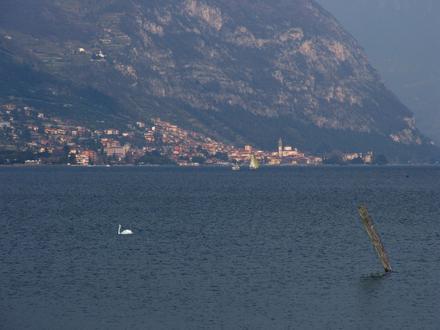 Immagine Predore