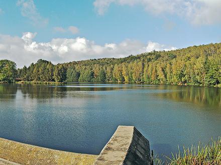 Bild von Langenbernsdorf Bild von Langenbernsdorf