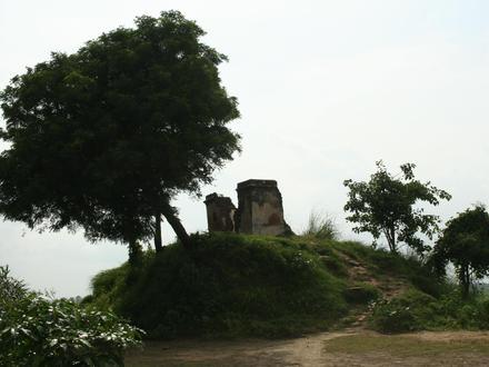 Immagine Kampil