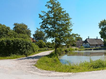 Image of Lyø Image of Lyø