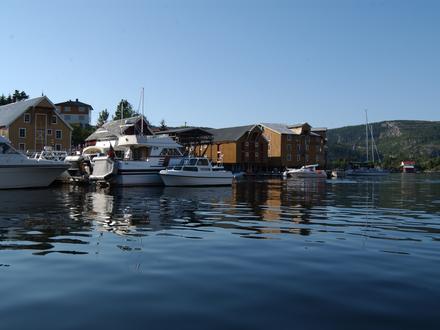 Bild von Rissa