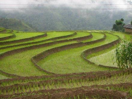 Afbeelding van Jamuna (Nepal)
