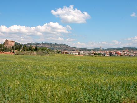 Bild von Santpedor