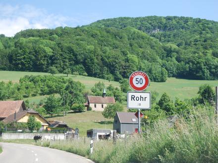 Bild von Rohr SO