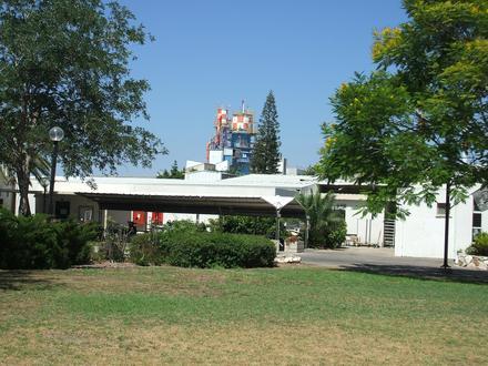 Bild von Dalja