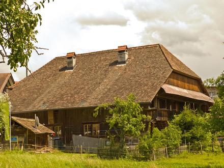 Bild von Bolligen
