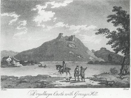 Bild von Dryslwyn Castle