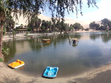 Imagen de Huacachina