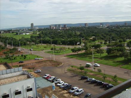 Bild von Palmas