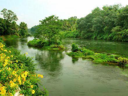 Immagine Muvattupuzha Immagine Muvattupuzha