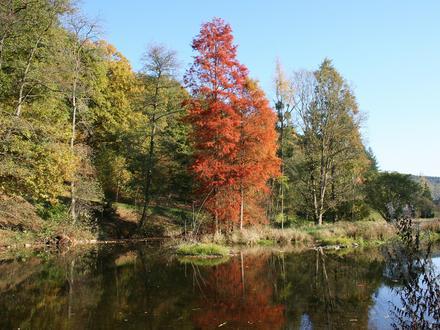 Imagine a Rendeux Imagine a Rendeux