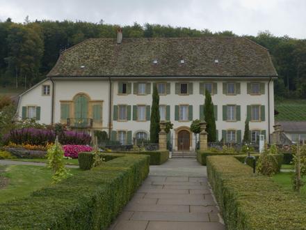 Bild von Tschugg Bild von Tschugg
