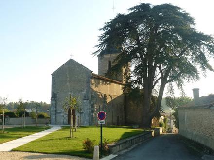 Immagine Nonac Immagine Nonac