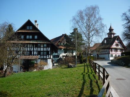 Bild von Aesch ZH