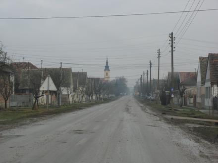 Slika Erdevik Slika Erdevik